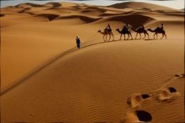 モロッコ　沙漠