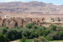 モロッコ・トドラ