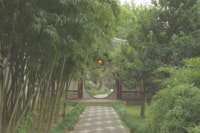 蘇州の庭園