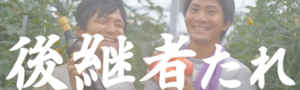 紀北町ビデオ