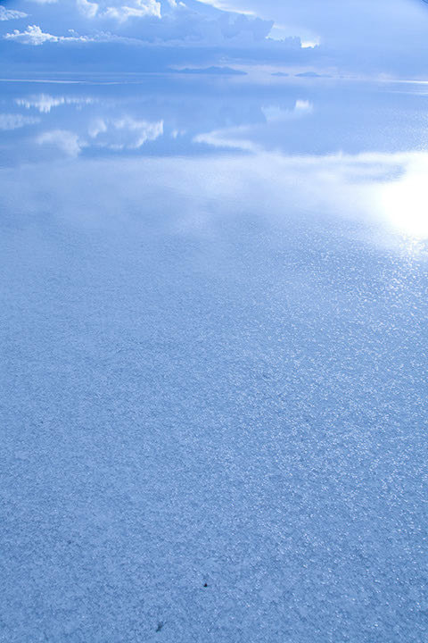 _4344041230.jpg